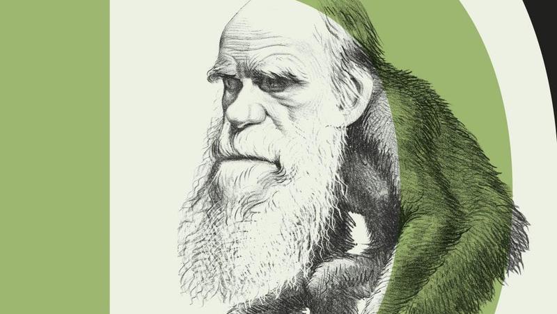 Charles Darwin finisce alla sbarra, a processo la teoria dell’evoluzione