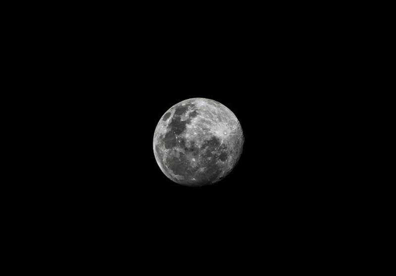 Telescopes on the Moon