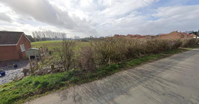 Farmland in Norfolk village could become equestrian paddocks