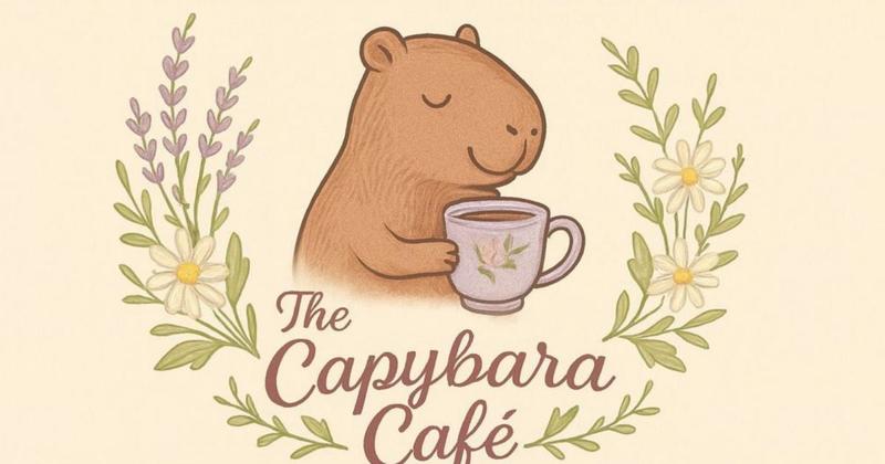 Woman behind 'capybara cafe' buys first capybaras... but they haven't been born yet