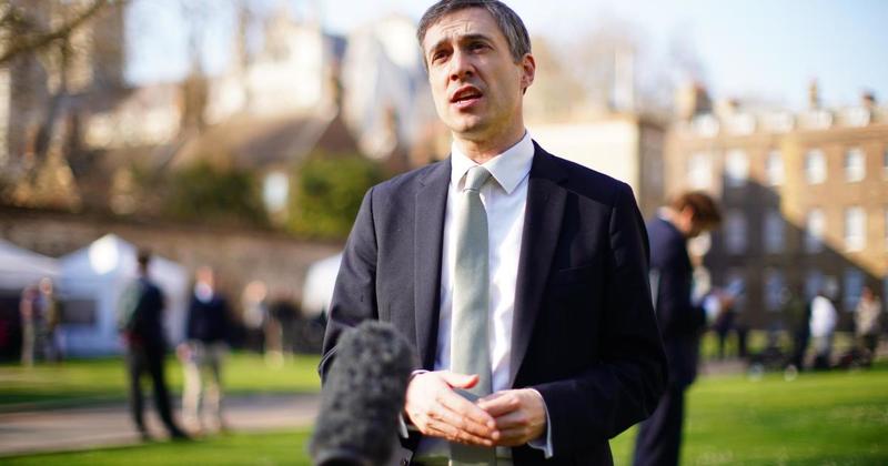 MP in battle to remain Green Party leader as voting gets under way