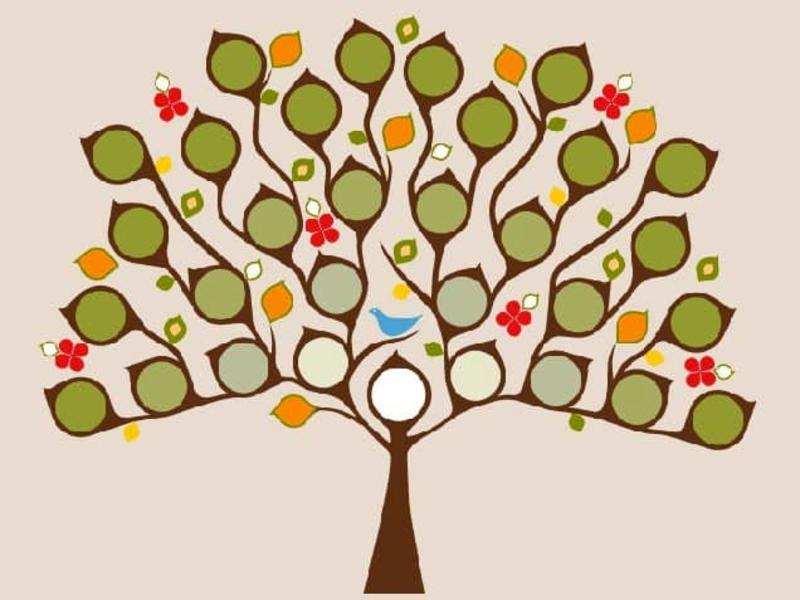 Tras la genealogía de Paz: Clotilde y Amalia Paz Solórzano