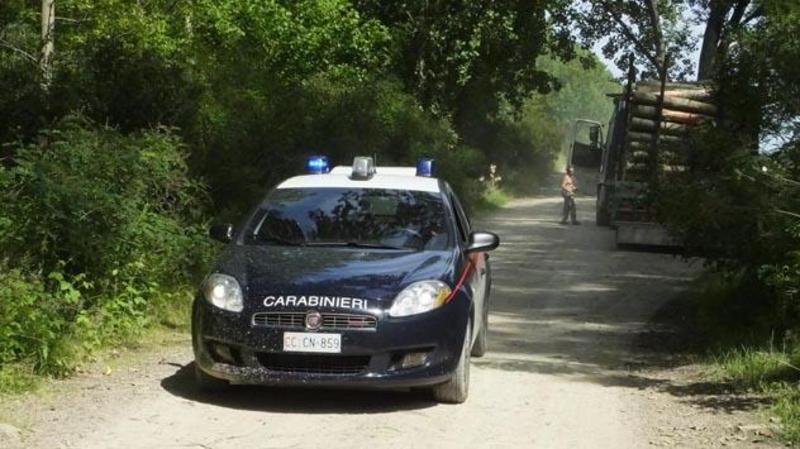 Ruba bancomat e preleva denaro a Luzzara, denunciato