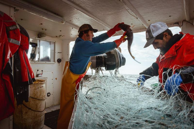 ‘Make America Fish Again’ Campaign Urges Policy Review