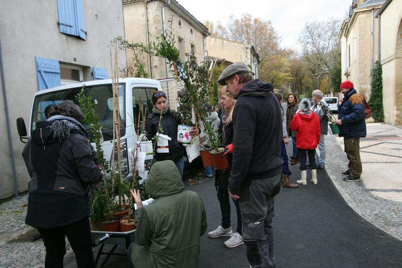 Dans les villes, comment les citoyens peuvent participer à la lutte contre la surchauffe
