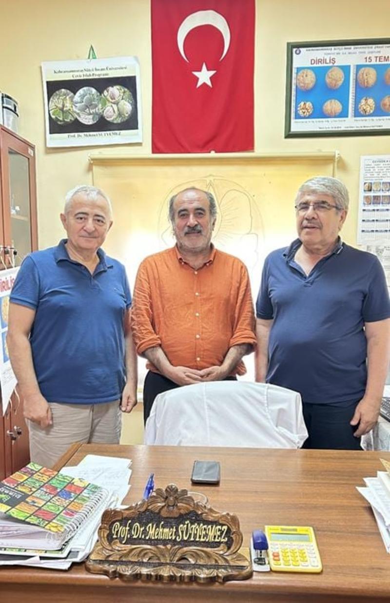 Anadolu’dan intibalar: İklim krizi ve Maraş cevizi