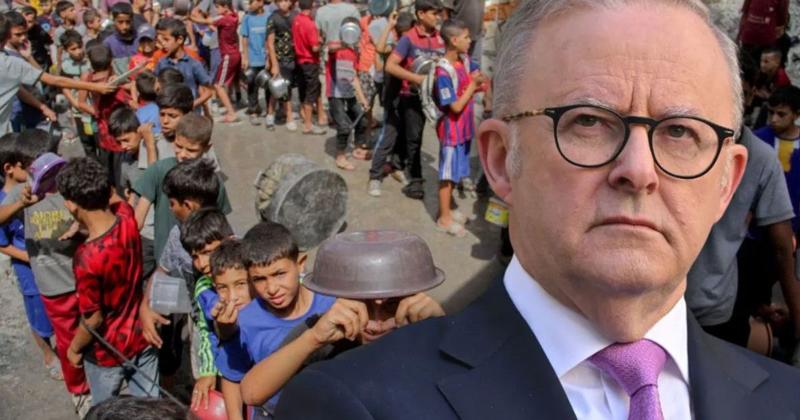 'Right moment'? Australia risks losing on Gaza