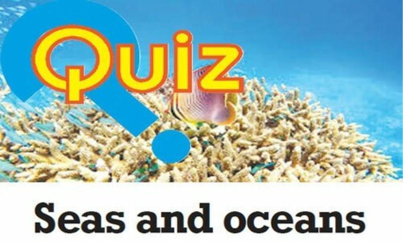Quiz