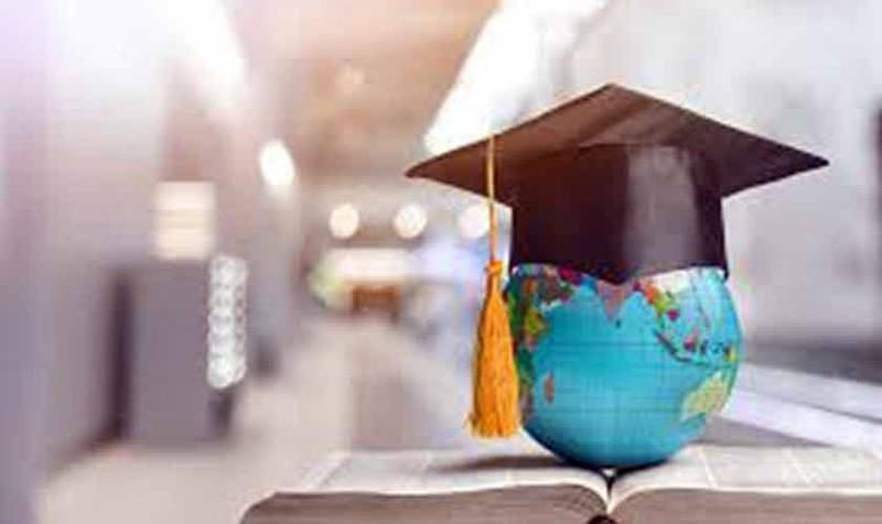 The Undergraduate Education Policy — II