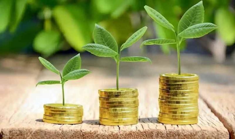 Agriculture and green finance