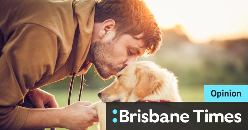 The genius new law demanding dogs and owners spend three hours together each day
