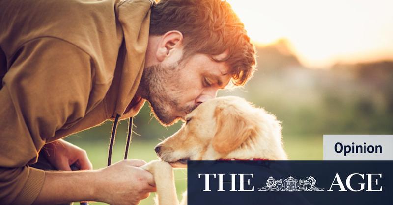 The genius new law demanding dogs and owners spend three hours together each day