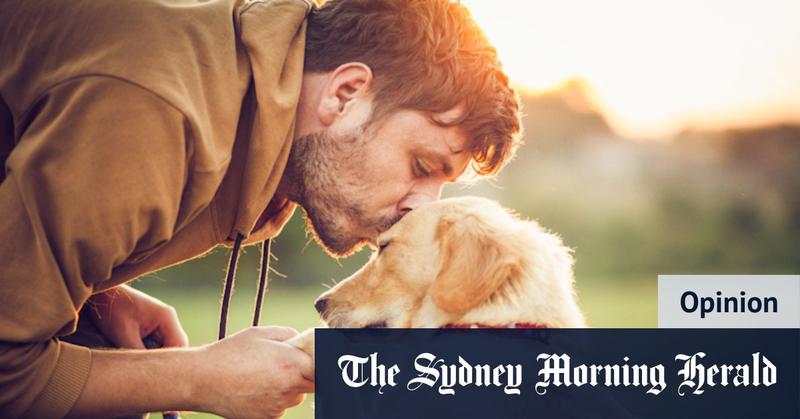 The genius new law demanding dogs and owners spend three hours together each day