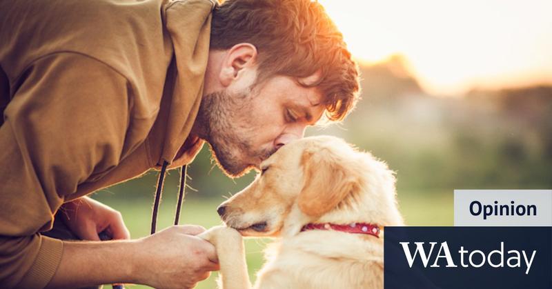 The genius new law demanding dogs and owners spend three hours together each day