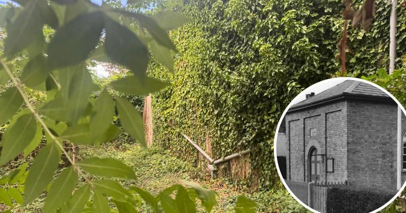 Former chapel vanishes behind village's 6ft deep 'triffid'
