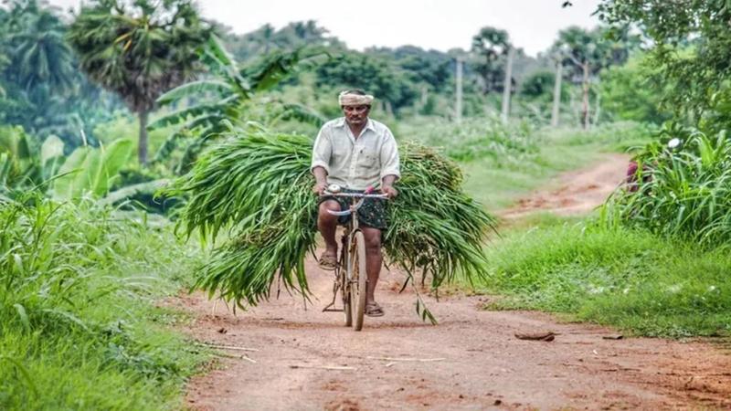 Calibrate duty cut on agri-products