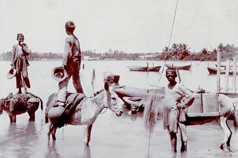 Aguadores de Maracaibo, por Douglas Zabala
