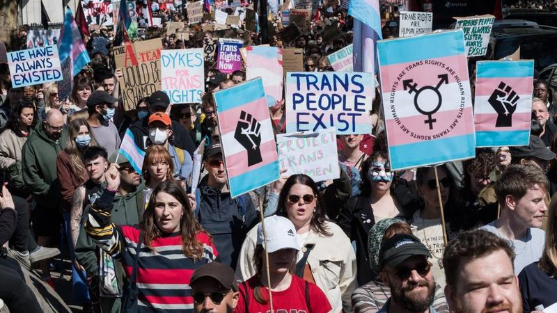 An academic, an arrogant minister and a fight for equality that has gone horribly wrong