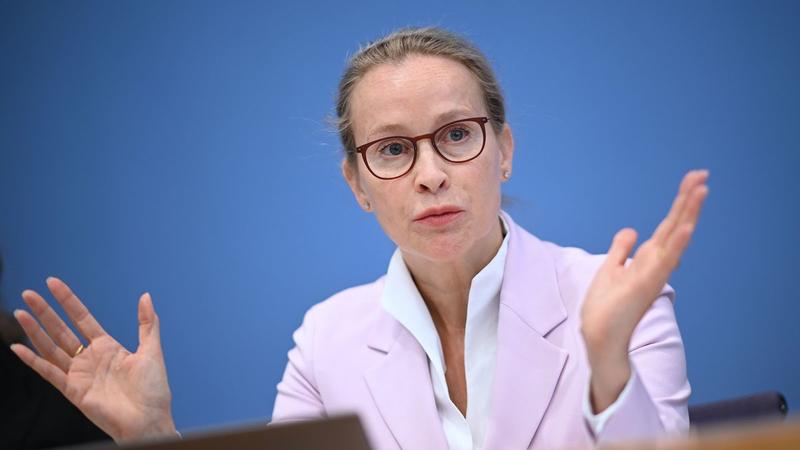 Warum Frauke Brosius-Gersdorf nicht zurückziehen sollte