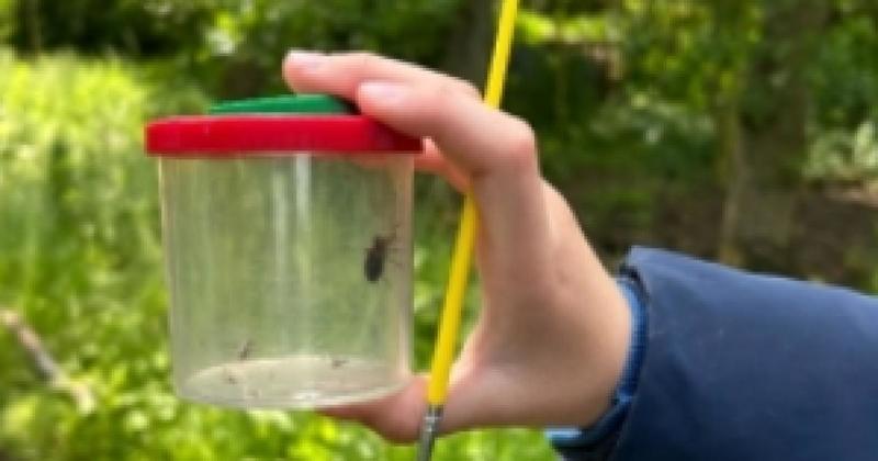 Nature reserve launches summer holiday activities