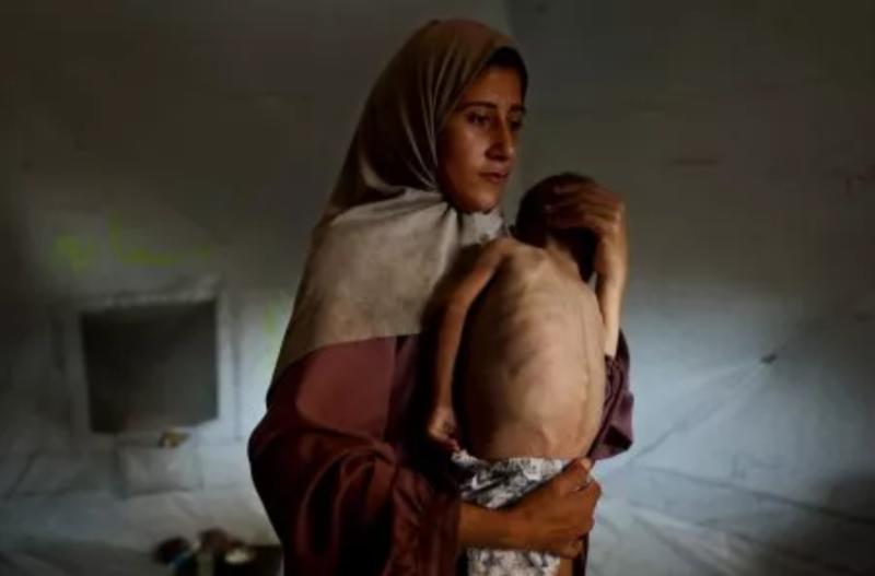 Fem enkle gratis måter for alle til å hjelpe Palestina på