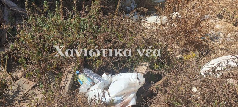 Όταν η απαγόρευση πάει περίπατο…