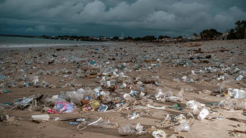 Historische Chance auf einen Plastikpakt : In Genf entscheidet sich, ob die Welt weiter im Müll versinkt