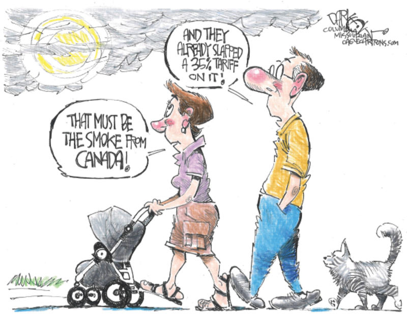 Cartoonists’ take