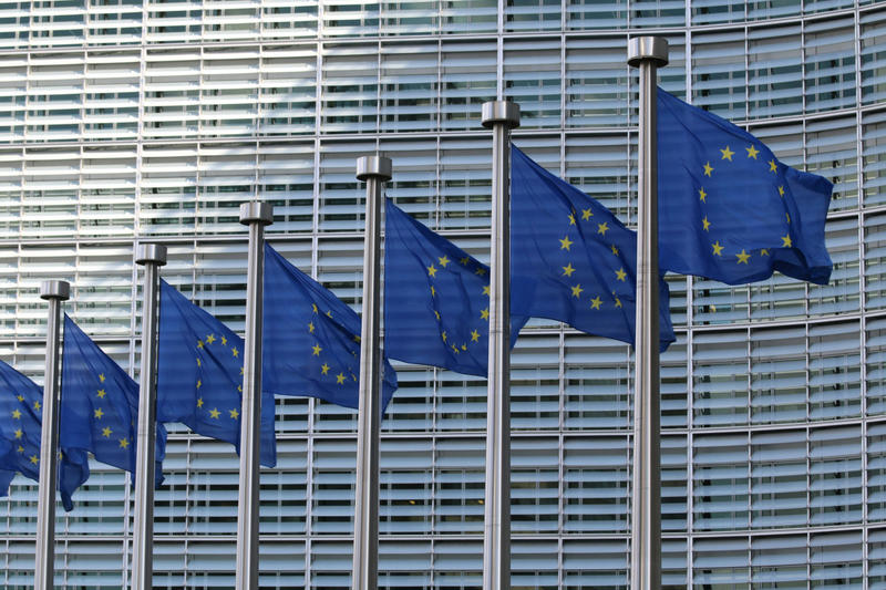 «Ο όρκος της Ευρώπης» και ο ιστορικός αναθεωρητισμός του κ. Καλύβα