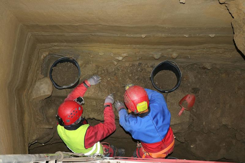 Our DNA analysis of 75,000-year -old bones in Arctic caves reveals how animals responded to changing climates