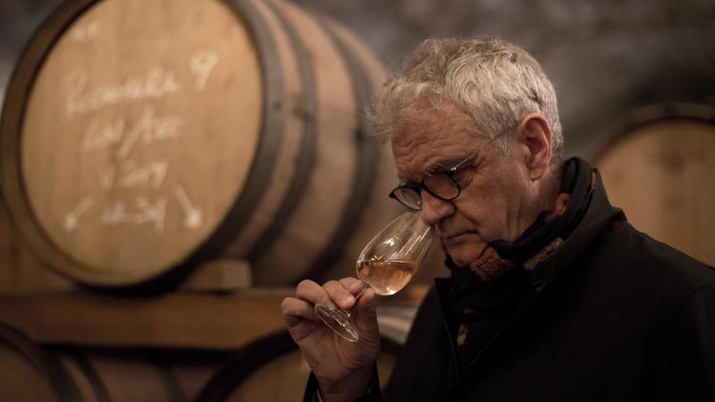 Mattia Vezzola, il signore del rosé. RosaMara e l’evoluzione armoniosa di un vino d’autore