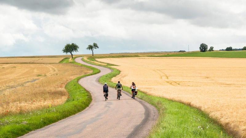 Bicistaffetta Fiab 2025: 460 km da Como a Lucca lungo la Via Francigena