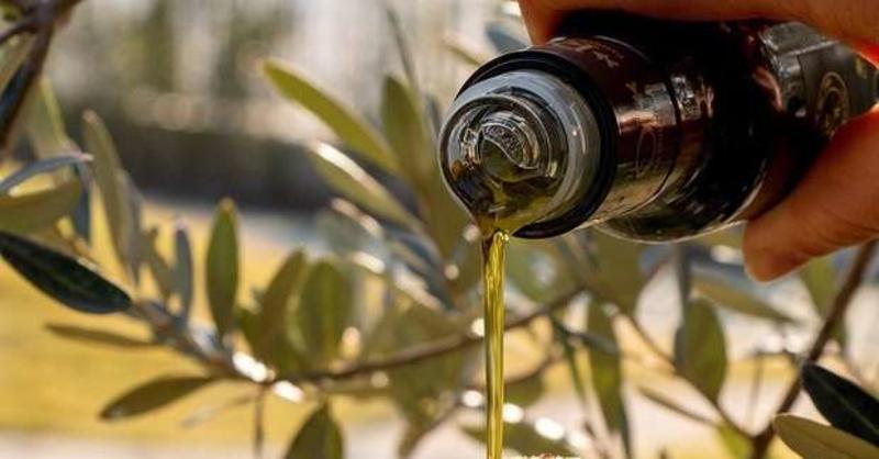 Tutti i benefici dell’olio di oliva, dei legumi, dei cereali e della frutta secca