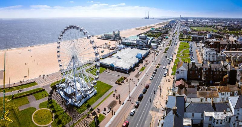 Gulls, crime, and council apathy - what businesses in a Norfolk town really think