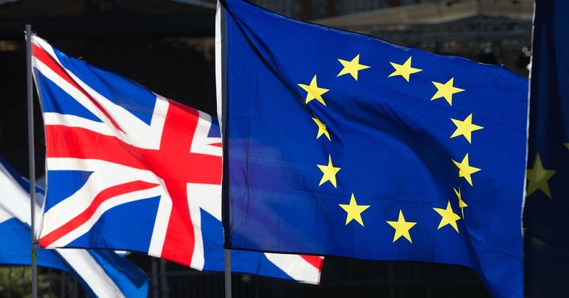 Polls show more Brits now back remain - would you switch your Brexit vote?