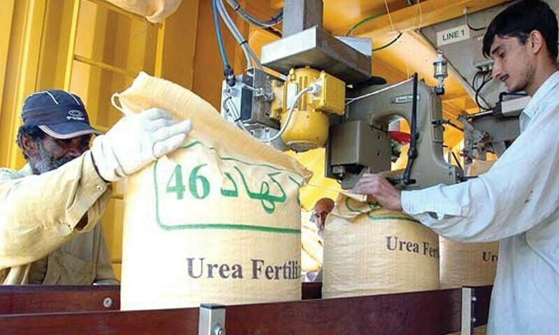 Urea sales decline in July, meat exports surge