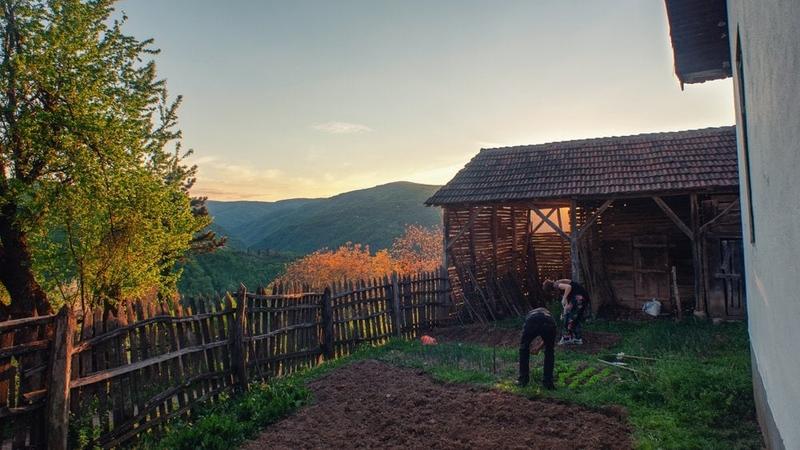 Državni podsticaji poljoprivrede – nekad i sad