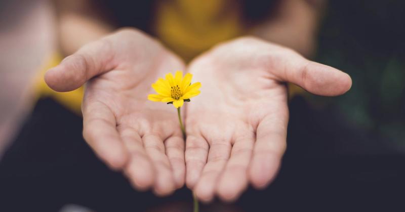 The Distinction Between Trauma-Informed and Trauma-Trained