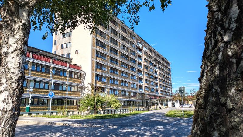 Sollefteåföreträdare missbrukar extrastämmor