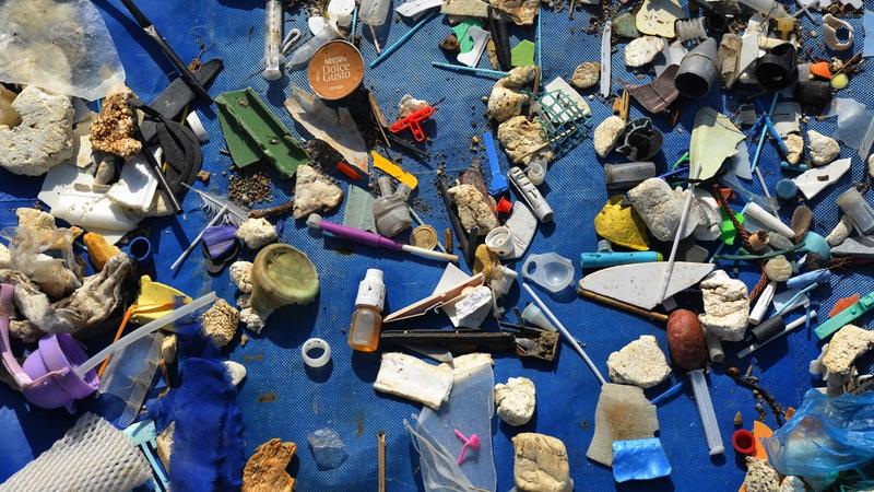 Die UNO sucht nach Lösungen gegen Mikroplastik in unserem Blut