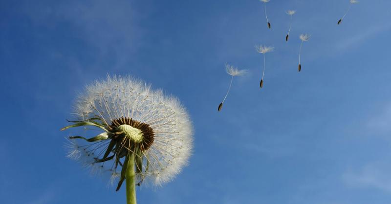 How Can You Possibly Feel Hopeful When Things Are Not OK?