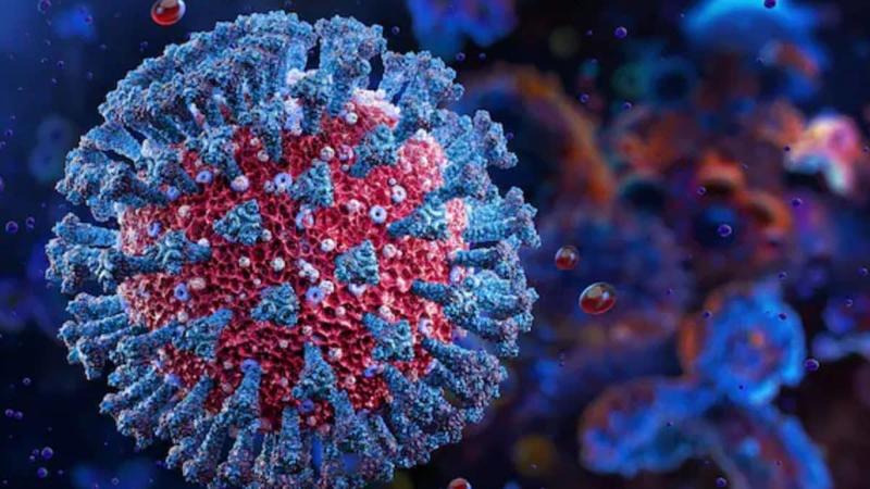 Opinion | Need For A Comprehensive International Health Law Post-Covid: In Light Of New WHO Pandemic Treaty