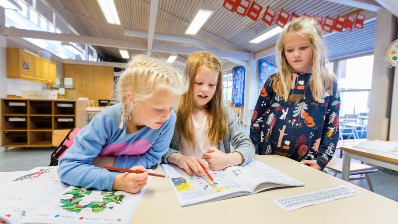 Skolen har alvorlige problemer, men Frp har ikke løsningen