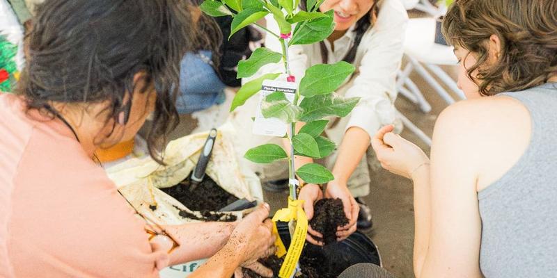 Roll up Your Sleeves for Climate Resilience Summer
