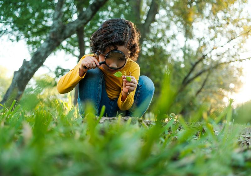 A toxicologist’s guide to poison ivy’s itch and bee stings’ burning pain – 2 examples of nature’s chemical warfare