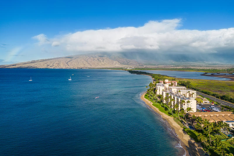 The 'hidden oasis' transforming Hawaii's food scene