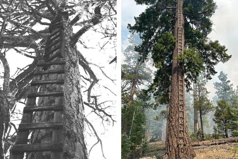 Amid the devastation, a fascinating piece of Grand Canyon history is spared