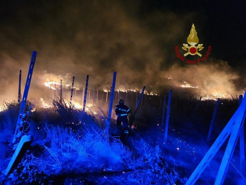 In fiamme 20mila metri quadri di vigna e bosco nell’Oltrepò Pavese: ipotesi incendio favorito dal caldo