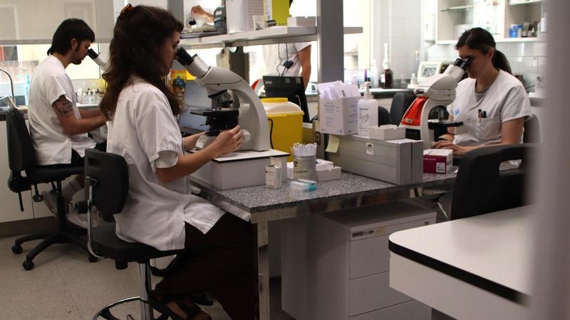 Cribados en la atención primaria de Barcelona para detectar dengue autóctono: 