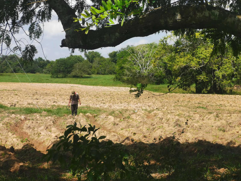 Tres años después, la tierra de la reforma agraria sigue sin producir